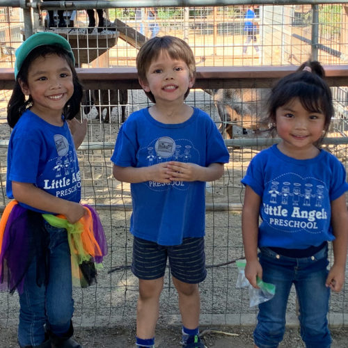 Preschool petting zoo field trip 2019